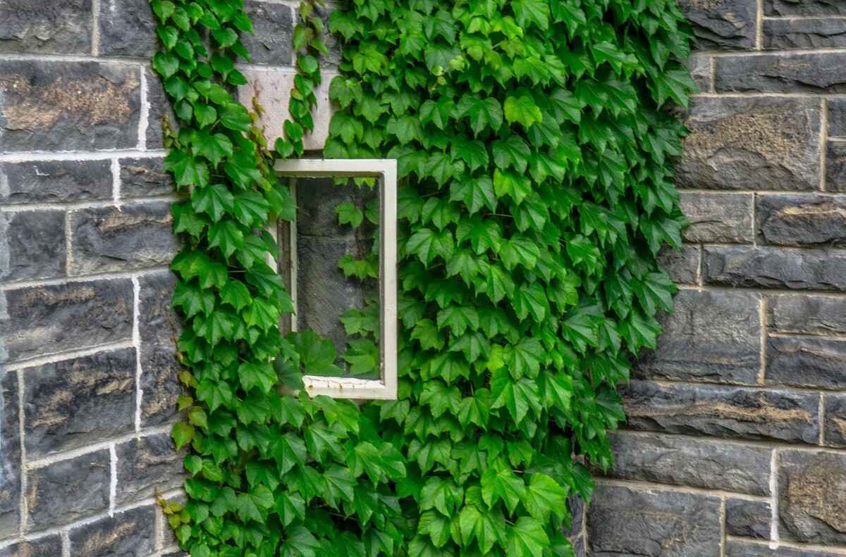 Are Online Contracts Legally Enforceable? 5 Best Practices for Creating Enforceable Online Contracts