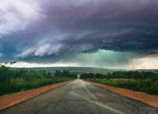 Are Windshield Wipers Universal? Find the Right Fit for Your Car Are Windshield Wipers Universal? Find the Right Fit for Your Car