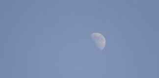 Ariados Pokémon Best Moves, Strengths, and Competitive Battle Guide Ariados Pokémon Best Moves, Strengths, and Competitive Battle Guide