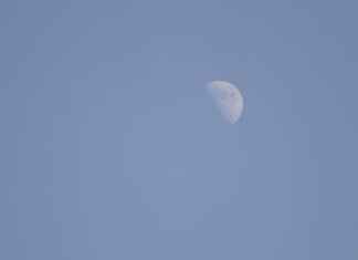 Ariados Pokémon Best Moves, Strengths, and Competitive Battle Guide Ariados Pokémon Best Moves, Strengths, and Competitive Battle Guide