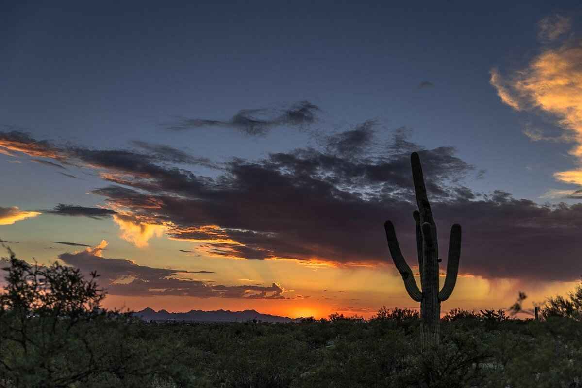 Looking Ahead: Future Matchups