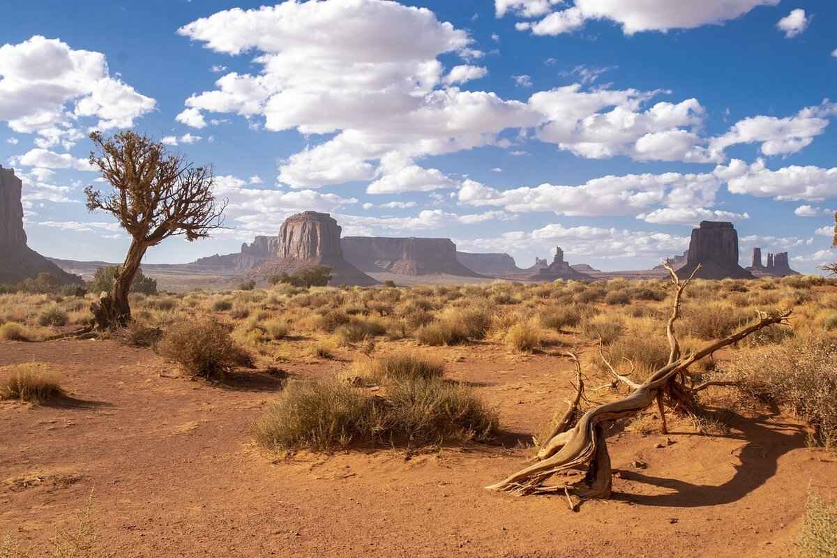 Key Players to Watch in the Diamondbacks