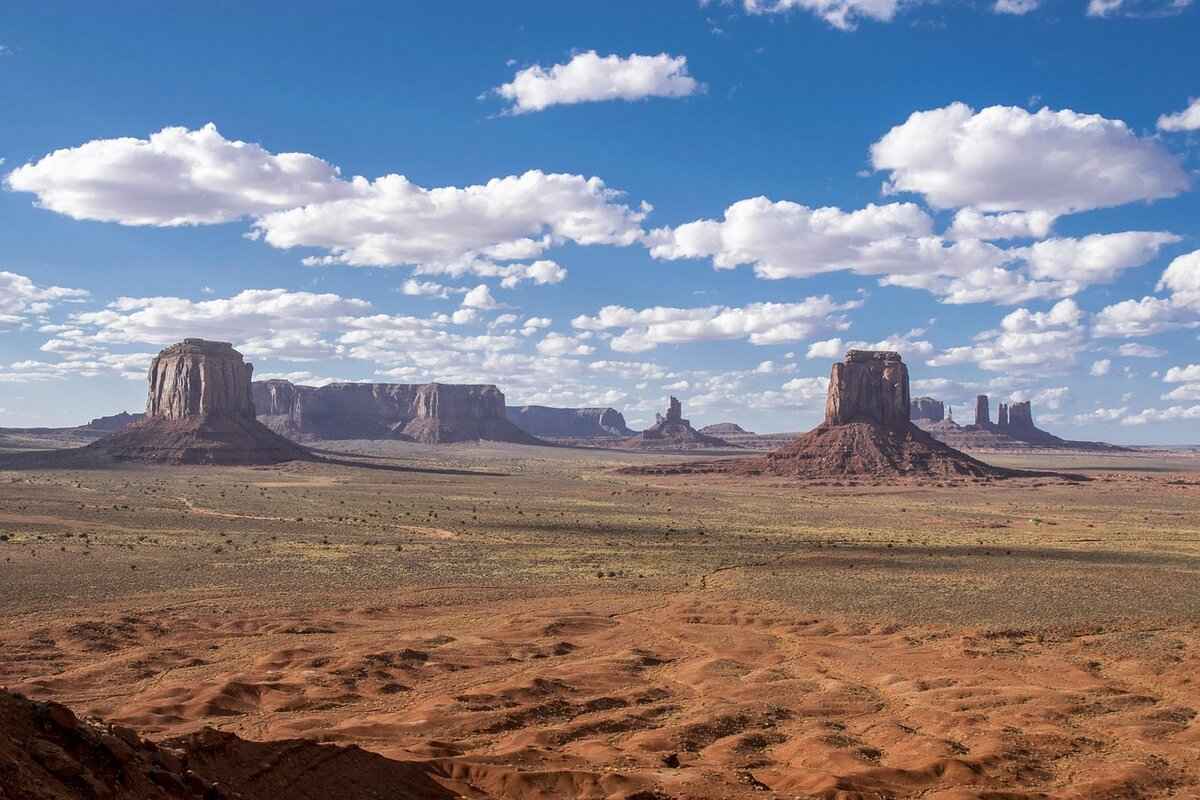 Overview of the Arizona Diamondbacks