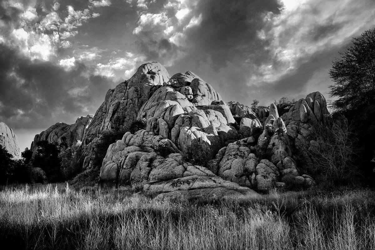 Overview of the Arizona Diamondbacks