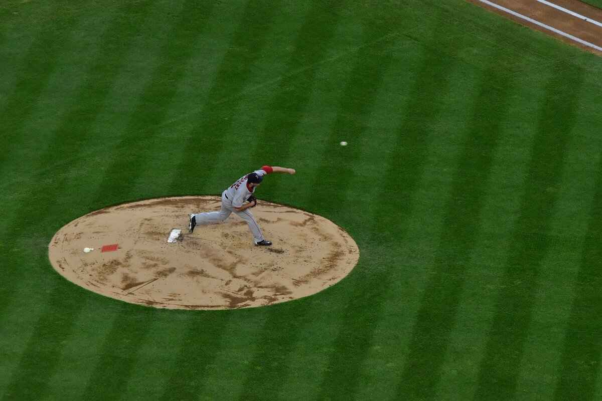 Overview of the San Francisco Giants