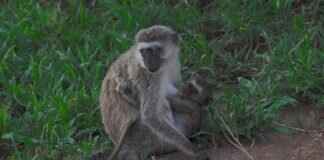 ArtofZio: The Ultimate Hub for Digital and Traditional Art Enthusiasts ArtofZio: The Ultimate Hub for Digital and Traditional Art Enthusiasts