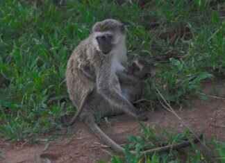 ArtofZio: The Ultimate Hub for Digital and Traditional Art Enthusiasts ArtofZio: The Ultimate Hub for Digital and Traditional Art Enthusiasts