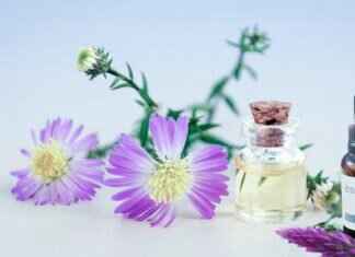 Asian Massage Las Vegas NV: Where Luxury Meets Peace Asian Massage Las Vegas NV: Where Luxury Meets Peace