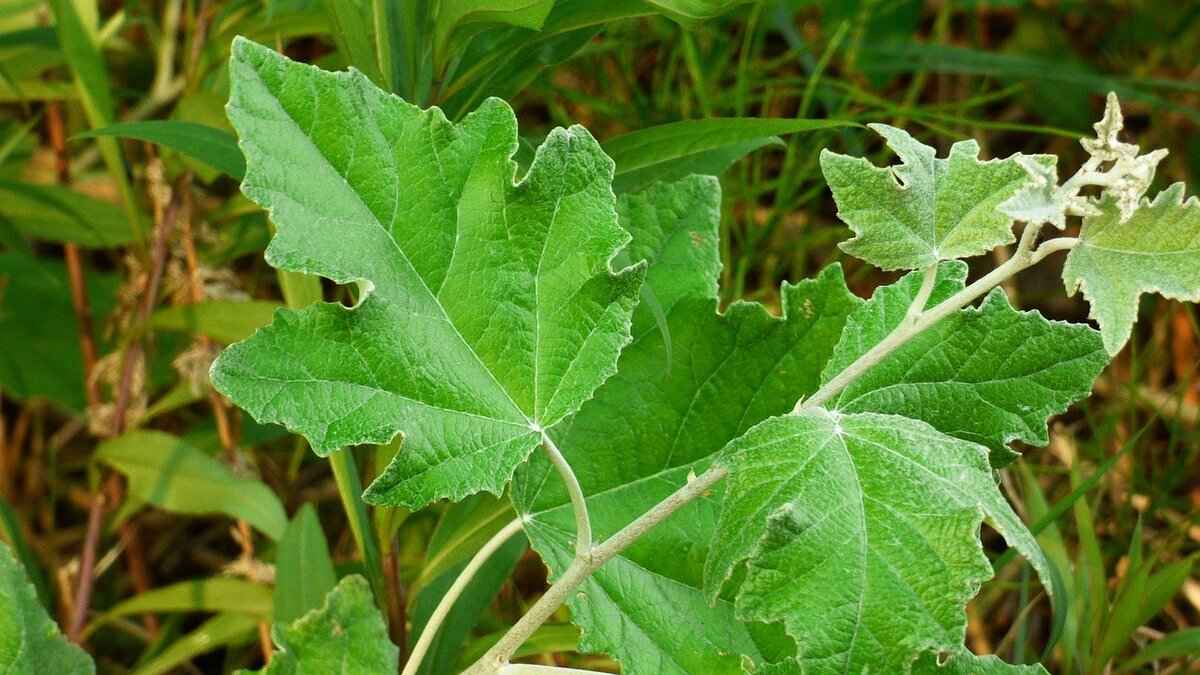 A&TA: Decoding the Mystery Behind This Trending Term 10 Future Trends Related to A&TA