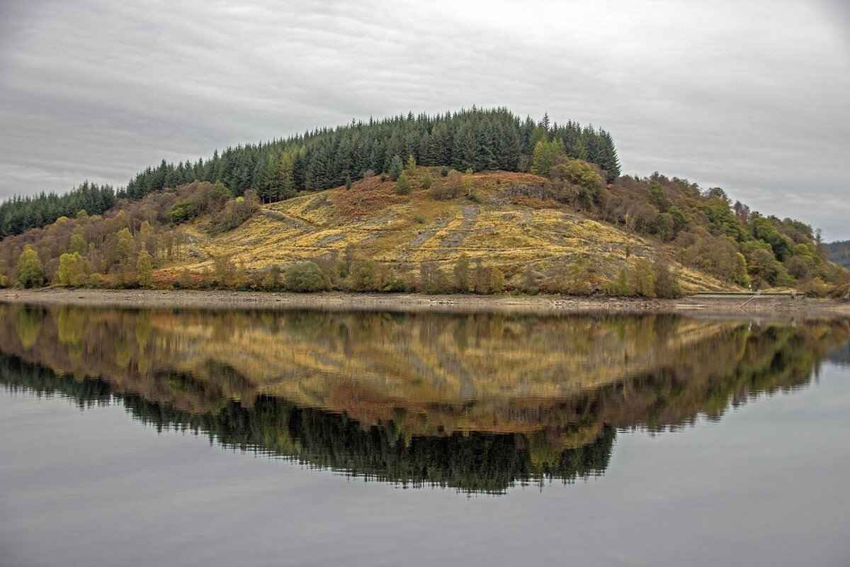 Injury Updates and Squad News