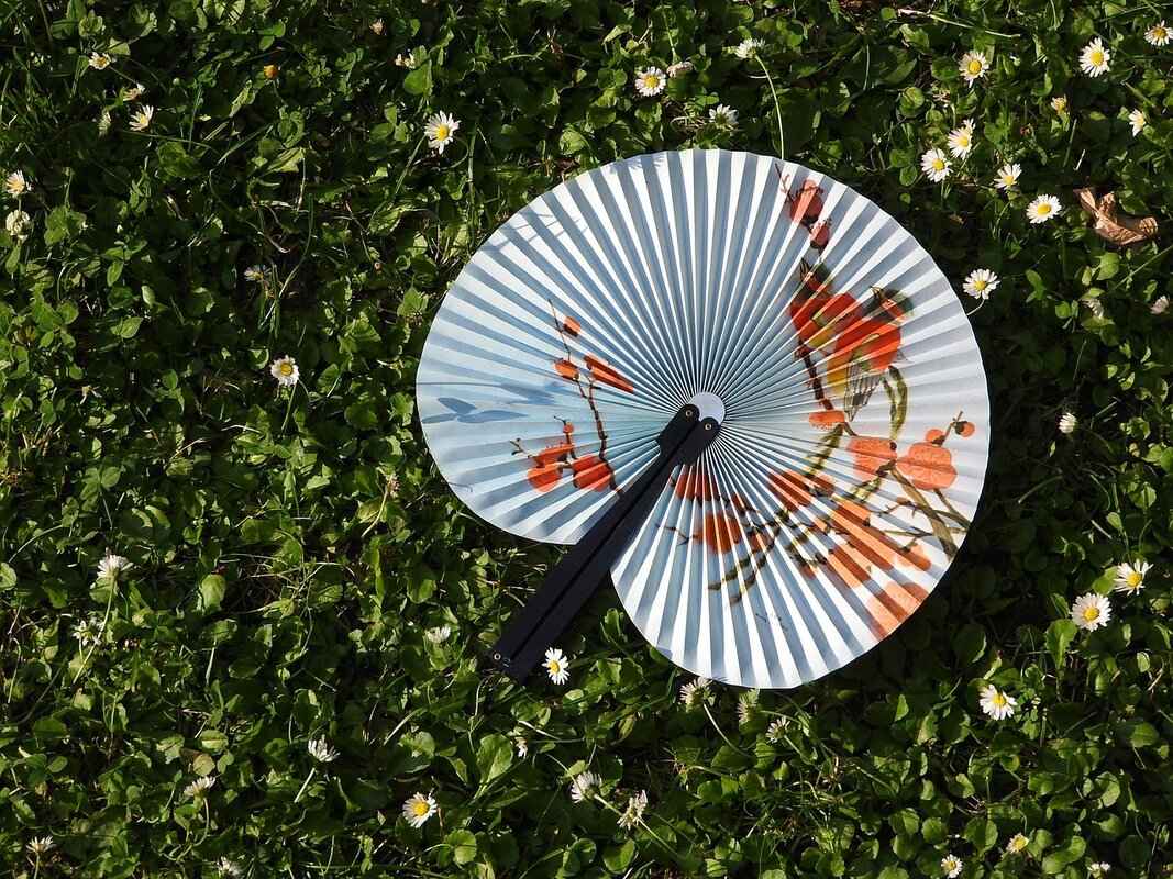 Fan Engagement and Atmosphere