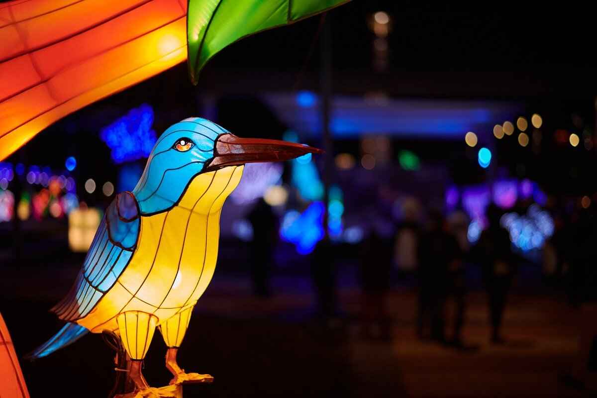 Key Player Statistics