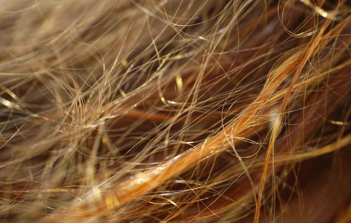 Auburn Hat: Best Designs for Tigers Fans 3 Material Matters: What to Look For