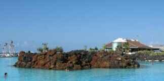 Augie Martinez Lehigh: His Legacy and Contributions Augie Martinez Lehigh: His Legacy and Contributions