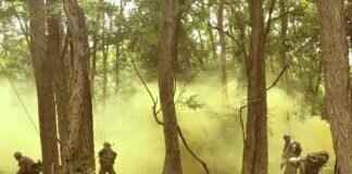 Azumarill Pokémon Competitive Guide: Best Abilities, Moves, and Battle Combos Azumarill Pokémon Competitive Guide: Best Abilities, Moves, and Battle Combos