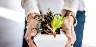 Balinese Temple Offerings: The Role of Food in Hindu Rituals Balinese Temple Offerings: The Role of Food in Hindu Rituals