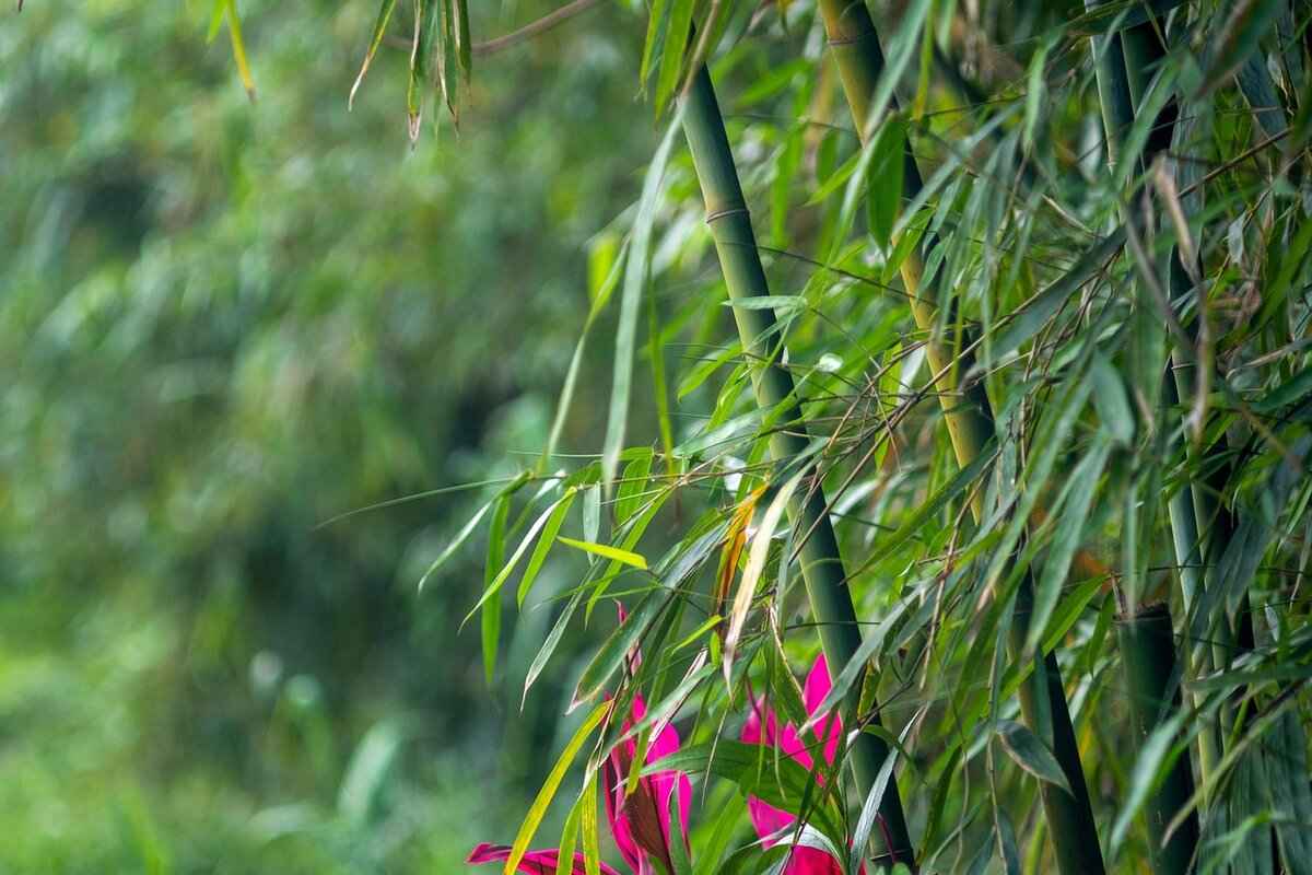 How to Maintain Metal Steamers?