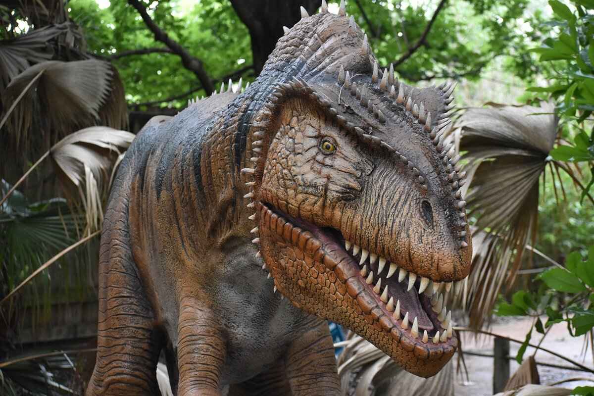 Banette Pokémon Evolution, Abilities, Moves, and How to Train It for Competitive Play 2 Banette's Evolution: From Shuppet to Banette