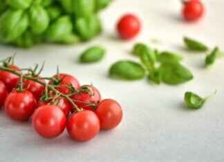 Basil Seeds vs Chia Seeds: Which One Is Better for Your Health? Basil Seeds vs Chia Seeds: Which One Is Better for Your Health?