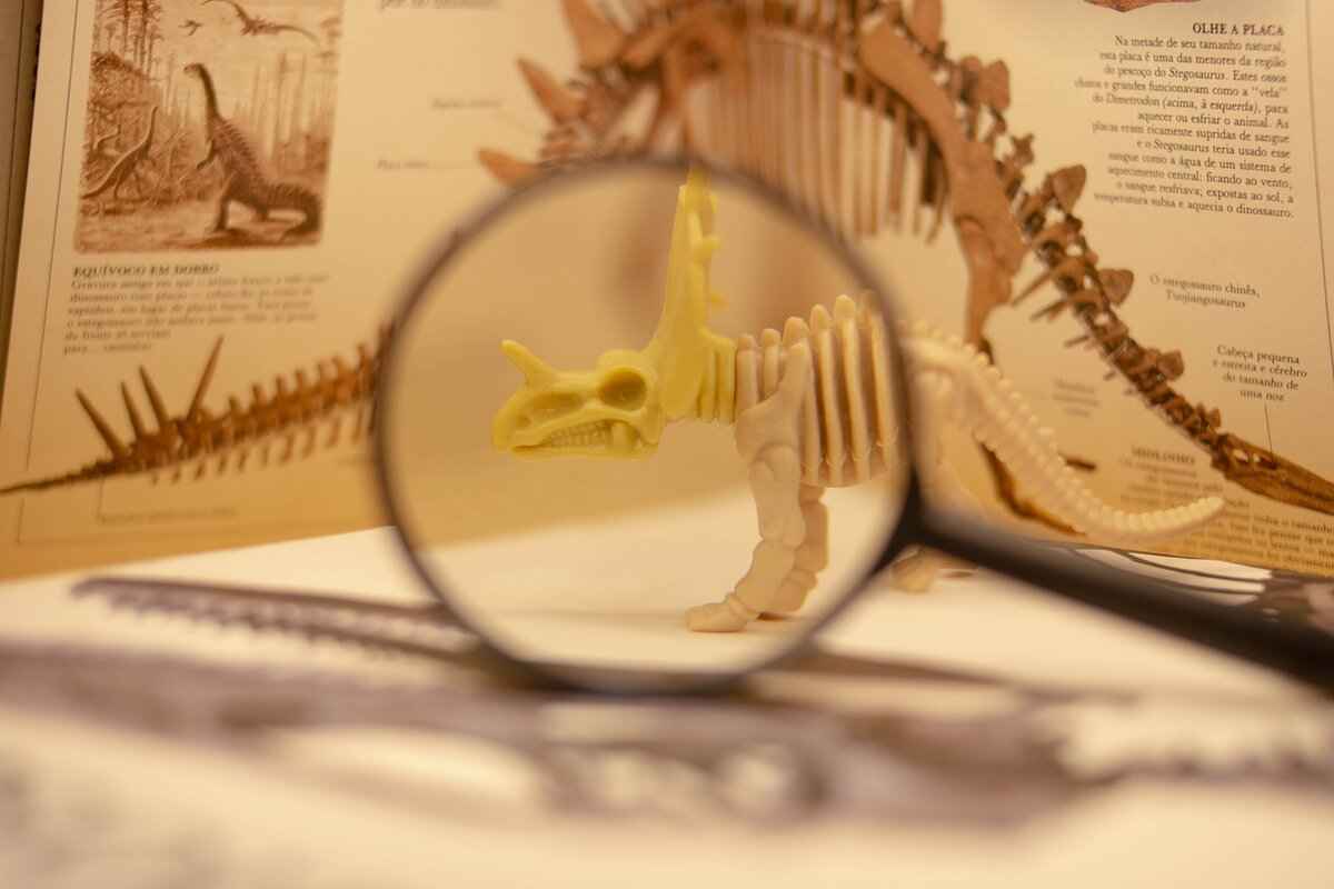 Bastiodon Pokémon Evolution, Abilities, Moves, and How to Train It for Competitive Play 2 Bastiodon Evolution Line: How to Evolve