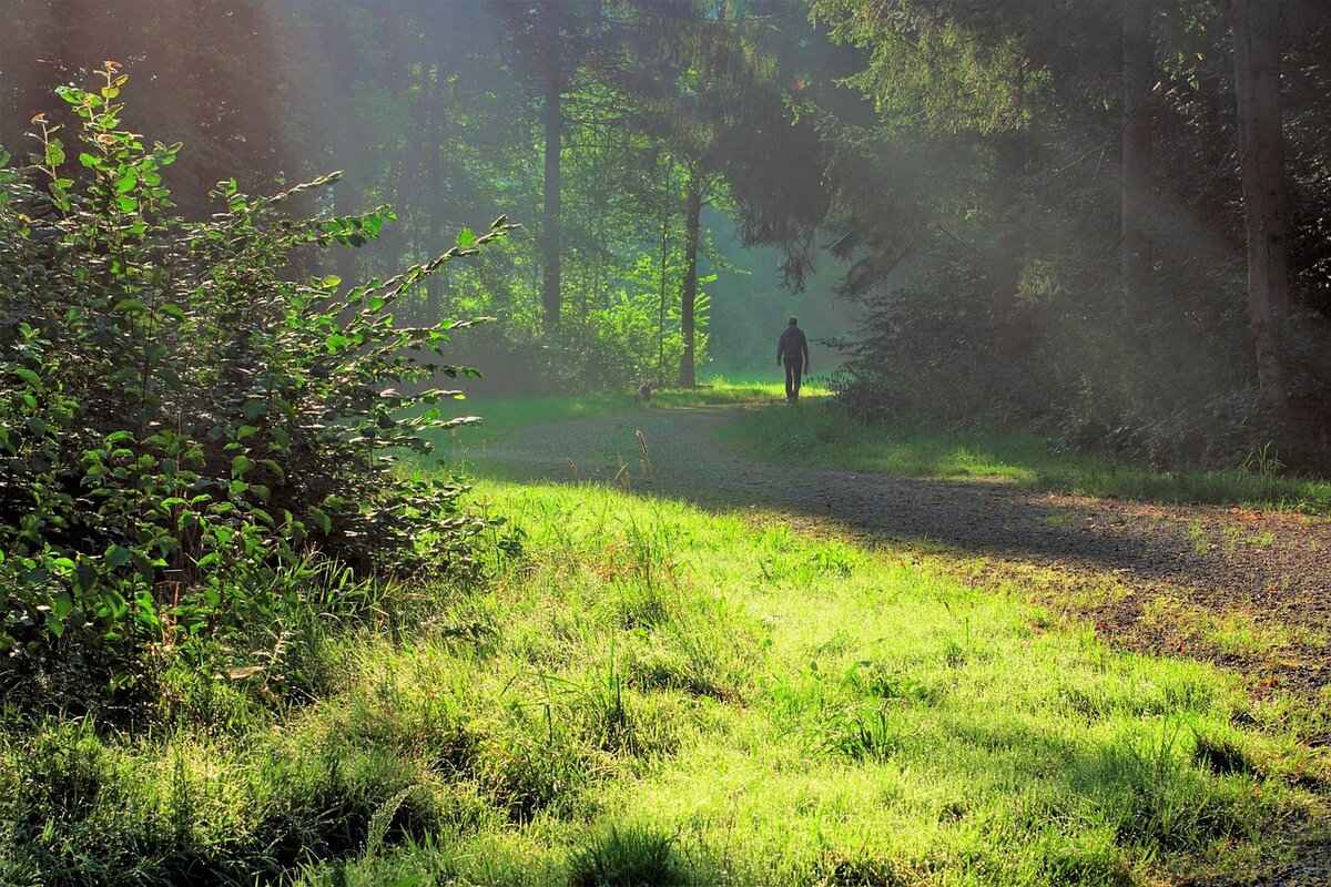 What Are Beam Windshield Wipers?