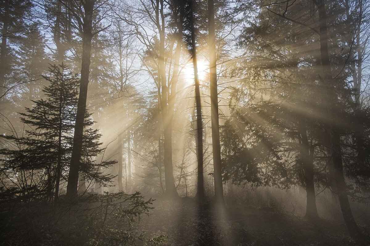 What Are the Advantages of Beam Windshield Wipers?