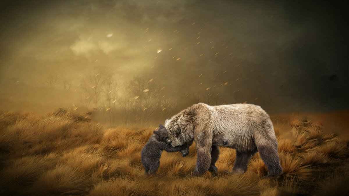 Bear Nicknames: Cute, Funny, and Fierce Ideas for Your Furry Friend 3 Funny Bear Nicknames to Make You Laugh