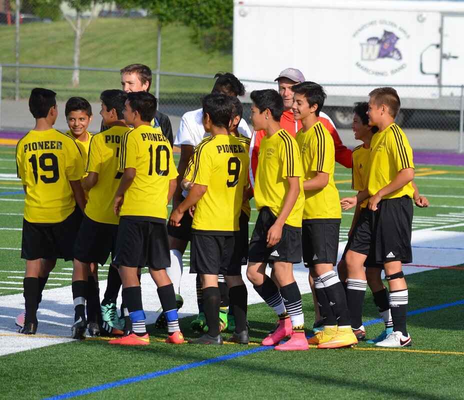 Beautifly Pokémon Attack Power, Special Abilities, and How to Build the Best Team 3 Building the Best Team Around Beautifly