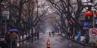 Beijing Cuisine: From Peking Duck to Zhajiangmian Beijing Cuisine: From Peking Duck to Zhajiangmian