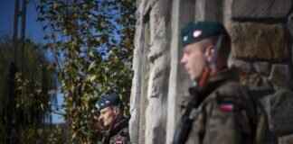 Bellossom Pokémon Attack Power, Special Abilities, and How to Build the Best Team Bellossom Pokémon Attack Power, Special Abilities, and How to Build the Best Team