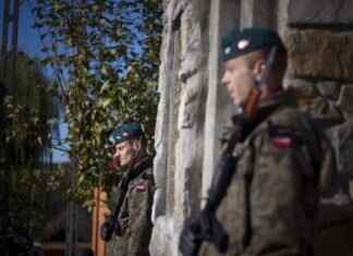 Bellossom Pokémon Attack Power, Special Abilities, and How to Build the Best Team Bellossom Pokémon Attack Power, Special Abilities, and How to Build the Best Team