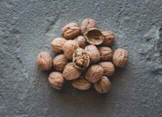 Benefits of Chia Seeds for Your Health and Wellness Benefits of Chia Seeds for Your Health and Wellness