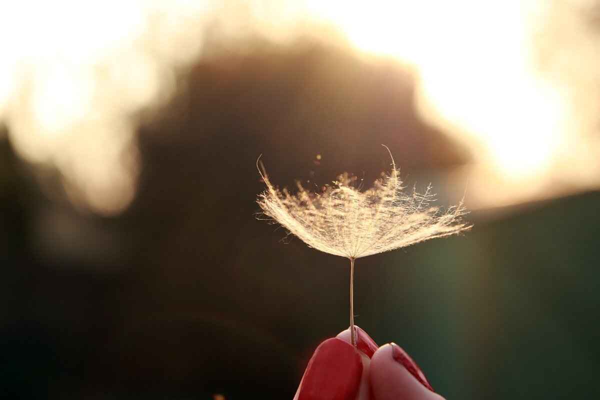 How Do Chia Seeds Benefit Heart Health?