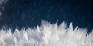 Best 4K Action Camera Under $200: Akaso vs. Campark vs. Dragon Touch Best 4K Action Camera Under $200: Akaso vs. Campark vs. Dragon Touch