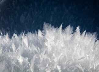 Best 4K Action Camera Under $200: Akaso vs. Campark vs. Dragon Touch Best 4K Action Camera Under $200: Akaso vs. Campark vs. Dragon Touch