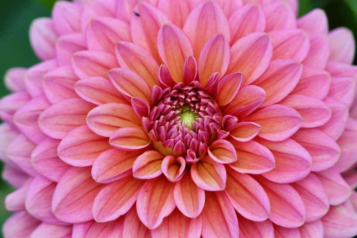 Best 4K Action Cameras in 2025: Which One Shoots the Sharpest Video? 2 Top Features to Look for in 4K Action Cameras