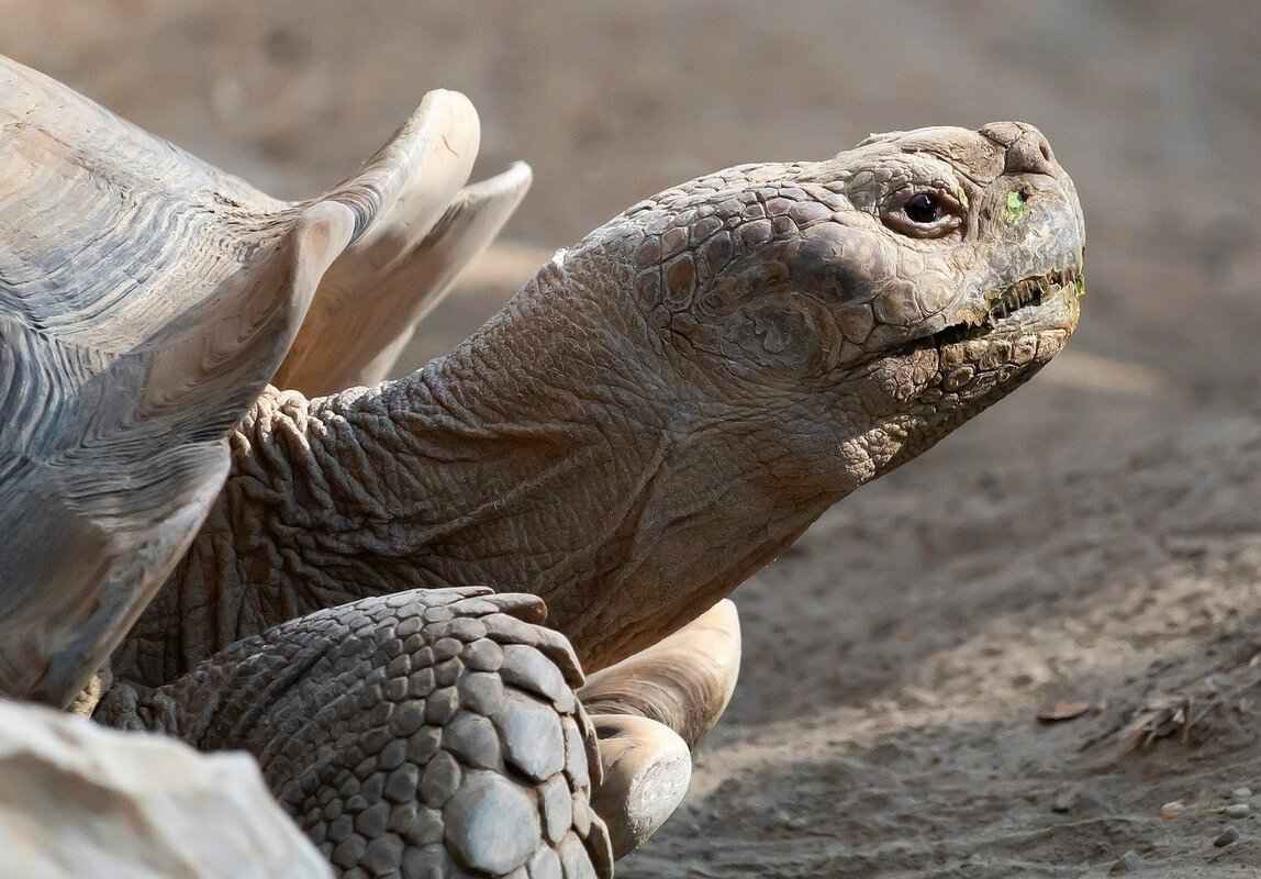 Best 4K Action Cameras in 2025: Which One Shoots the Sharpest Video? 7 Waterproof and Durability Features: Are They Essential?