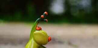 Best Action Camera Angles for Capturing Martial Arts & Boxing Training Best Action Camera Angles for Capturing Martial Arts & Boxing Training