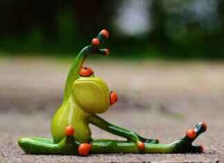 Best Action Camera Angles for Capturing Martial Arts & Boxing Training Best Action Camera Angles for Capturing Martial Arts & Boxing Training