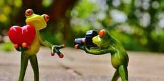 Best Action Cameras for Hiking & Outdoor Photography Best Action Cameras for Hiking & Outdoor Photography