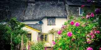 Best Brand of Windshield Wipers: Top Brands for Clear Vision Best Brand of Windshield Wipers: Top Brands for Clear Vision