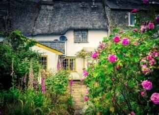 Best Brand of Windshield Wipers: Top Brands for Clear Vision Best Brand of Windshield Wipers: Top Brands for Clear Vision