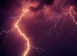 Best Electric Scooters in 2025: Top Models, Features & Where to Buy in the US Best Electric Scooters in 2025: Top Models, Features & Where to Buy in the US