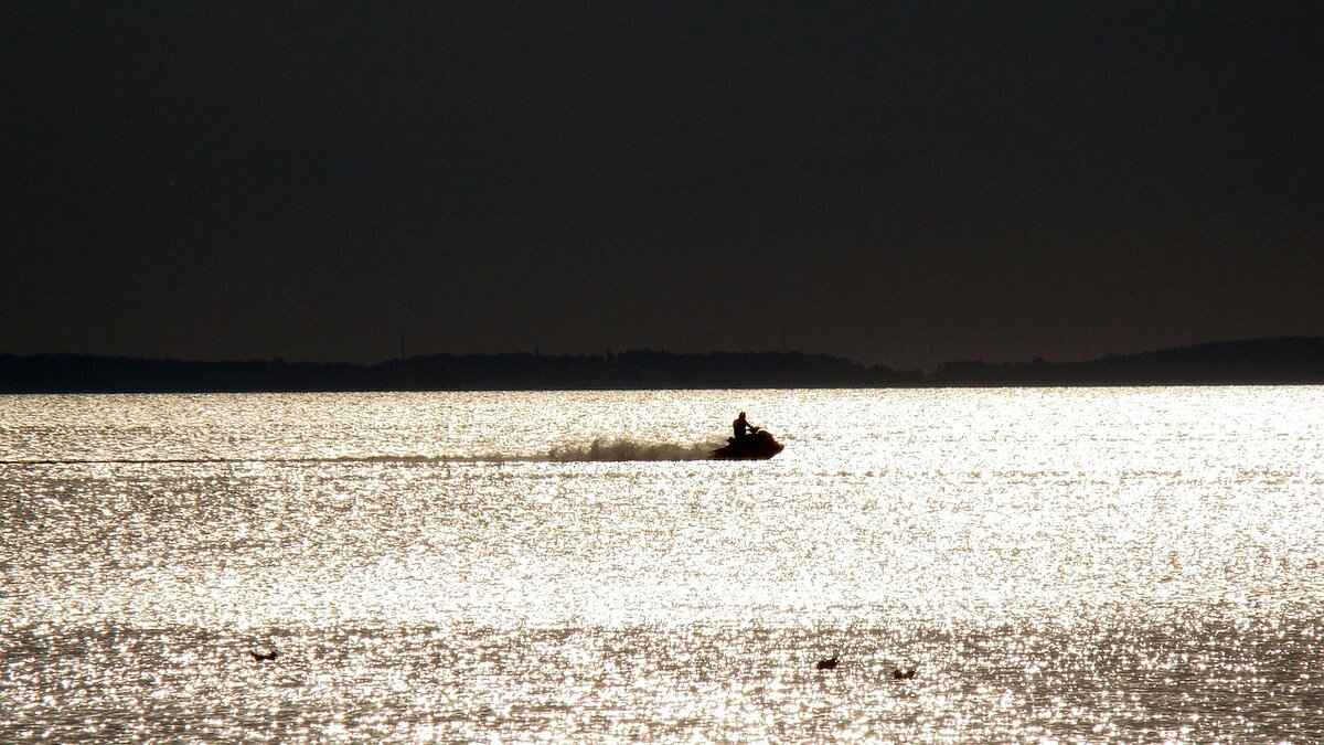 Top Electric Scooter Models of 2025