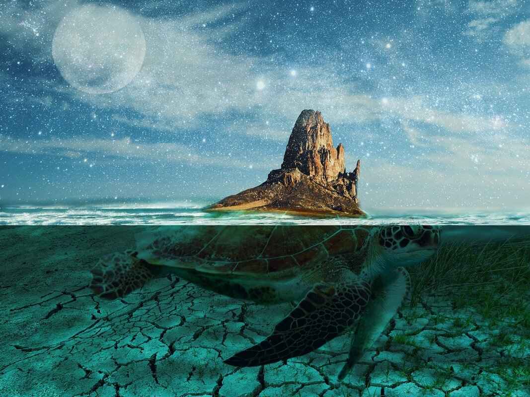 Trends in Digital Art Aesthetics