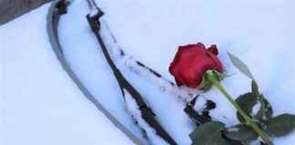 Best Fluid for Windshield Wipers to Keep Your View Crystal Clear Best Fluid for Windshield Wipers to Keep Your View Crystal Clear