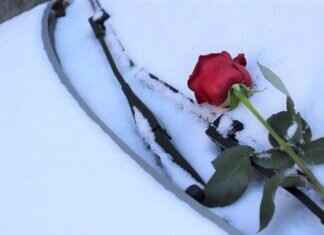 Best Fluid for Windshield Wipers to Keep Your View Crystal Clear Best Fluid for Windshield Wipers to Keep Your View Crystal Clear