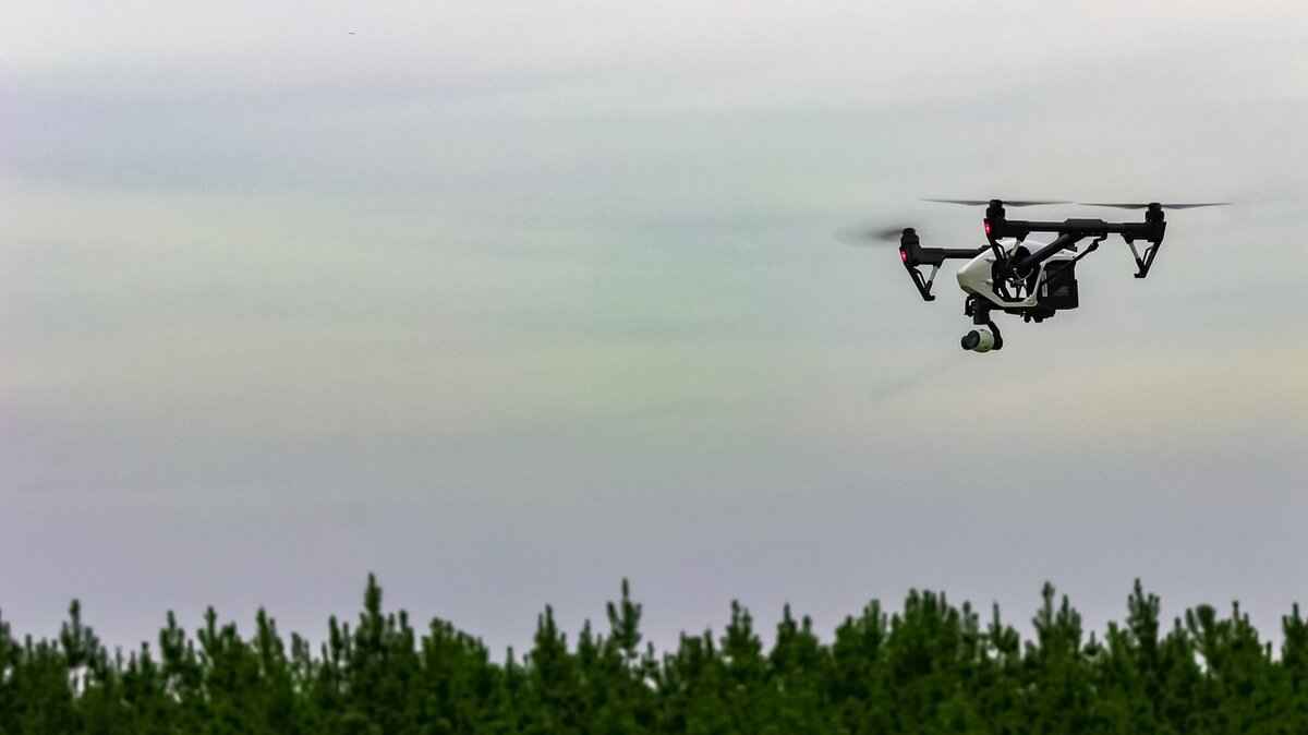 Are Gimbals Worth the Investment?