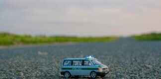 Best Paw Patrol Toys for Different Age Groups Best Paw Patrol Toys for Different Age Groups