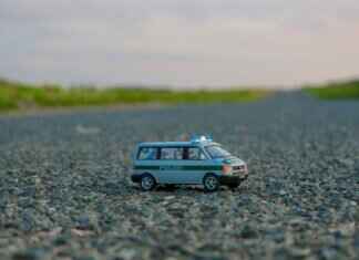 Best Paw Patrol Toys for Different Age Groups Best Paw Patrol Toys for Different Age Groups